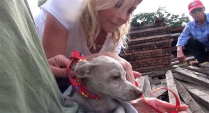 bfeaf6cae875b8a09a76ccb97bb6e22b