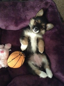 c062d19b9d6cb7930ebdbd17f23652a7