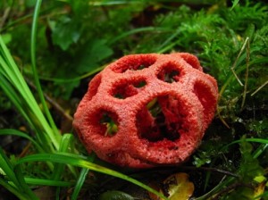 c404a90e7dce541d36b2f96f4cbf2f32