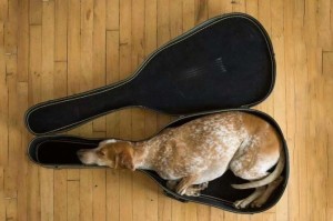 c4f6aaf7266c3ea329e336009d2791f8