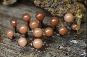 e1ea49b6cd8eabebe50ce6a19e565841