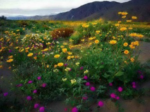 e2aeafb6f8189461e3170c7f9fd1bf4e