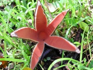 f18a001491a787f5289ac0086816edcd