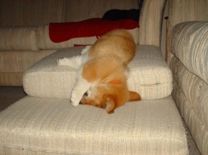 fa3ce94ad23c9c8a1e963b46d8743ddb