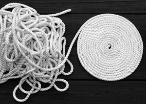 11178350_10205709249948206_1142973985286872940_n