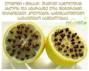 11303673945548295489416459169019n