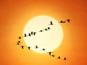 11755702_10205709249788202_4128867365540160855_n