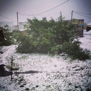 2d5020da4411c808bdb3d5f0e5663032