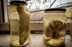 bbd774d15b830753fffb9614bfcfbc6a