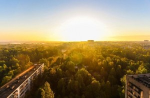 c3ef3cd08e68ca1ae5b783c87e206bbe