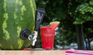 preview-650x390-650-1437128850