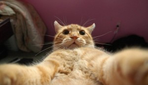 0ec350c4164f773d3a4ae04be65ffaca