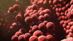 11940341_477025519145324_2032972278_n