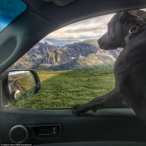 2B6EC60B00000578-0-image-a-5_1439826561384