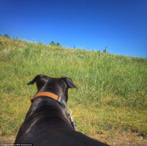 2B6EC74400000578-0-image-a-9_1439826573550