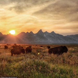 2B6EC75400000578-0-image-a-24_1439826646327