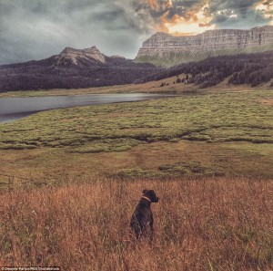 2B6EC75800000578-0-image-a-27_1439826663202