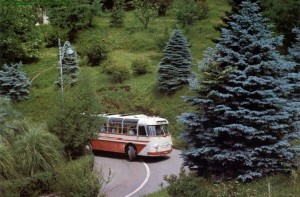 386c09c22e2473cfb9e786e111ff44cd