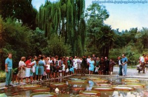 a4c0c2f076d6d0870205dfa29d93bd89