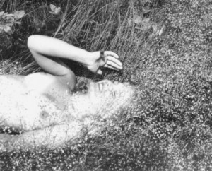 b77e9d96bdba231a8f8bf67f861ea178