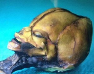 bb2b9b1b9e.images.new_photo.ggggggggg_e0290