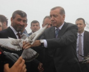 cumhurbaskani-erdoganin-basina-keklik-kondu-6c6c1f