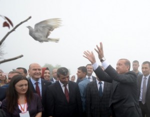 cumhurbaskani-erdoganin-basina-keklik-kondu-7d9927