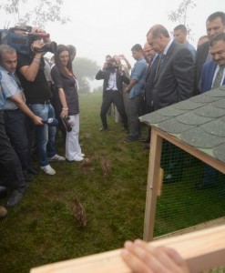 cumhurbaskani-erdoganin-basina-keklik-kondu-d985df