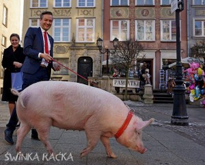 10426148_853453251358692_4236713491708038255_n