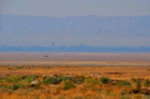 11206038_925361440863794_3425405822919103776_n