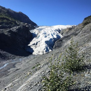 11426662_1609472639306741_1420703838_n