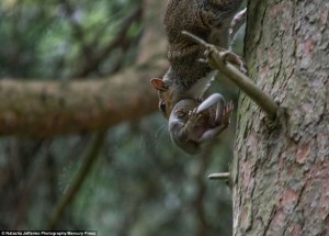 11949820_1037379446295556_981986889_n