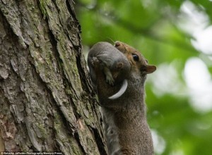 11992067_1037379466295554_421160338_n