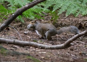 11992103_1037379456295555_647700069_n