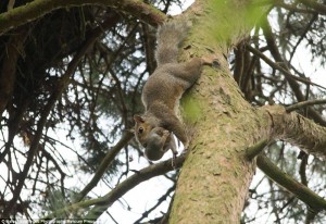 11992154_1037379462962221_268888300_n