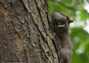 11997141_1037379452962222_409152048_n