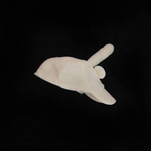 11998164_611921062281667_1938240610_n