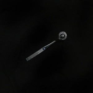 12032455_611921068948333_315214634_n