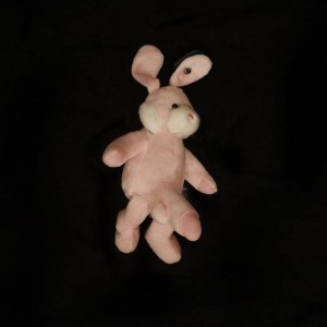 12041841_611921078948332_366261376_n