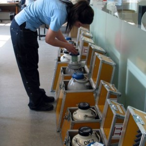 150918121436_cryos_international_sperm_bank_549x549_afp_nocredit