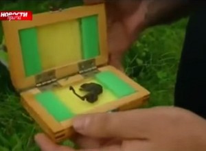 2BE5914000000578-3219351-image-m-4_1441182001619