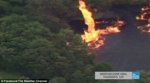 2BF7E8C300000578-0-image-a-32_1441376772077