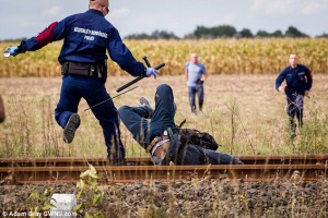 2C13557600000578-3226888-Head_over_heels_A_migrant_falls_face_first_between_railway_track-a-4_1441747847609