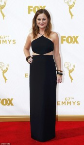 2C9231C500000578-3242704-image-a-159_1442799982520