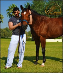 5292790881_8fef7d7bb7