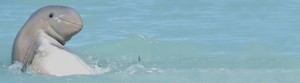 banner13