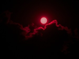 red_moon_rising_by_pureonefromthemeadow