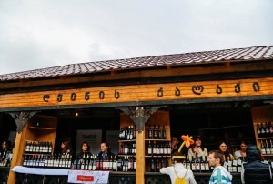 10155958_1185156408167624_1363358217363294544_n