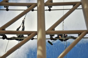 10447406_1487087724927528_6118227546485702735_n