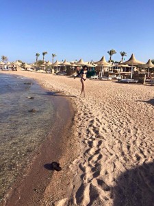 11988392_472119759633590_6161384113708081527_n